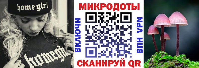 Галлюциногенные грибы Psilocybine cubensis  Камышлов 