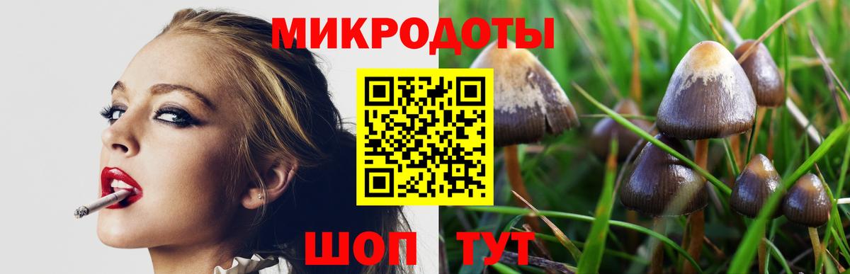 Камышлов  Галлюциногенные грибы Psilocybe  Вход с VPN 